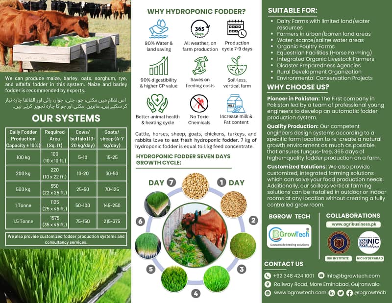 Hydroponic Fodder System 4