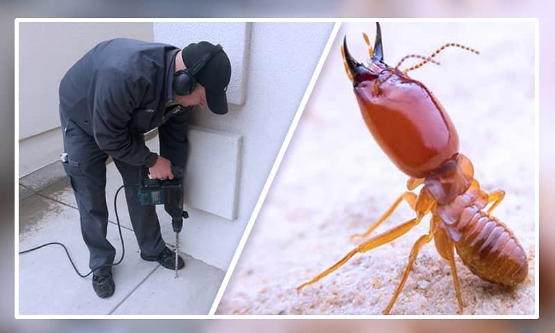 Pest Control/Termite Control/Fumigation Spray/Deemak Control Services 6