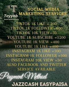 Social media marketing services