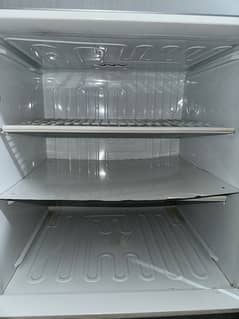 Pel Refrigerator Medium size