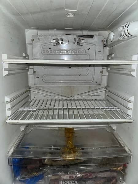 Pel Refrigerator Medium size 1