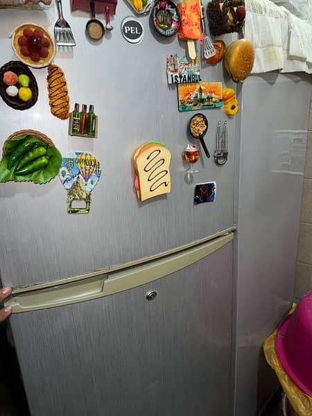 Pel Refrigerator Medium size 3