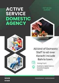 All kind of Domestic staff (Maid, Nanny, Cook, Driver, Attendent etc) 0