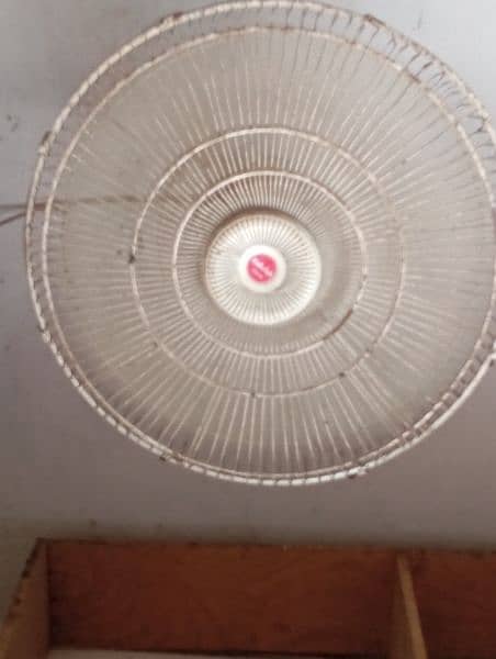 wall Fan 1