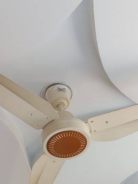 ceiling fan for sale (Pak Fan) 0