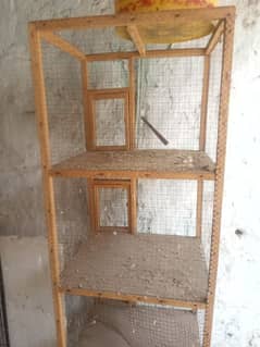 Dove for sale healthy and active or Cage for sale ha