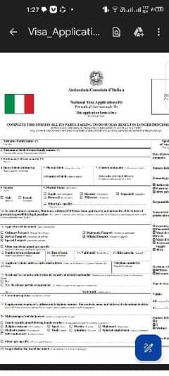 Italian vise application