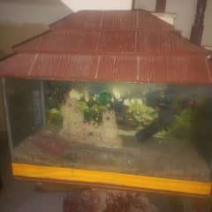 Aquarium for sell