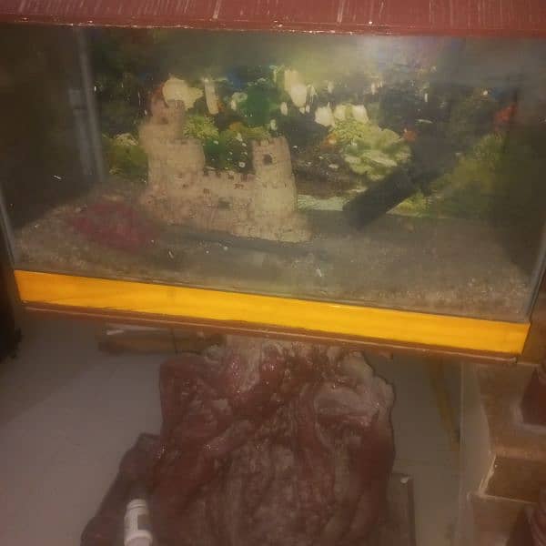 Aquarium for sell 1