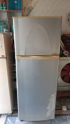 Large size fridge