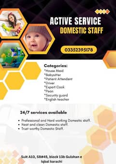 Nurses, Maid, nanny, cook, Driver etc.