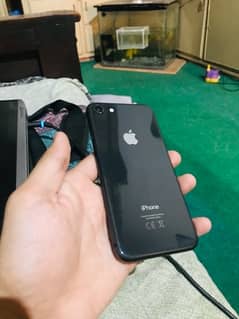 Iphone 8 Pta official approved