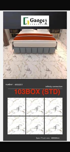 24x24 Tiles Granite body 3