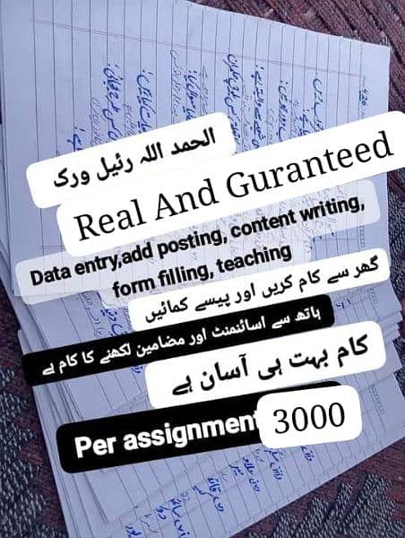 Handwritten Assignment Content Writing And Data Entry Work 0