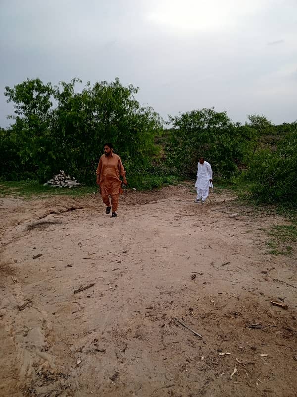 240 Kanal Agriculture Land For Sale In Kalar Khar Chakwal 2