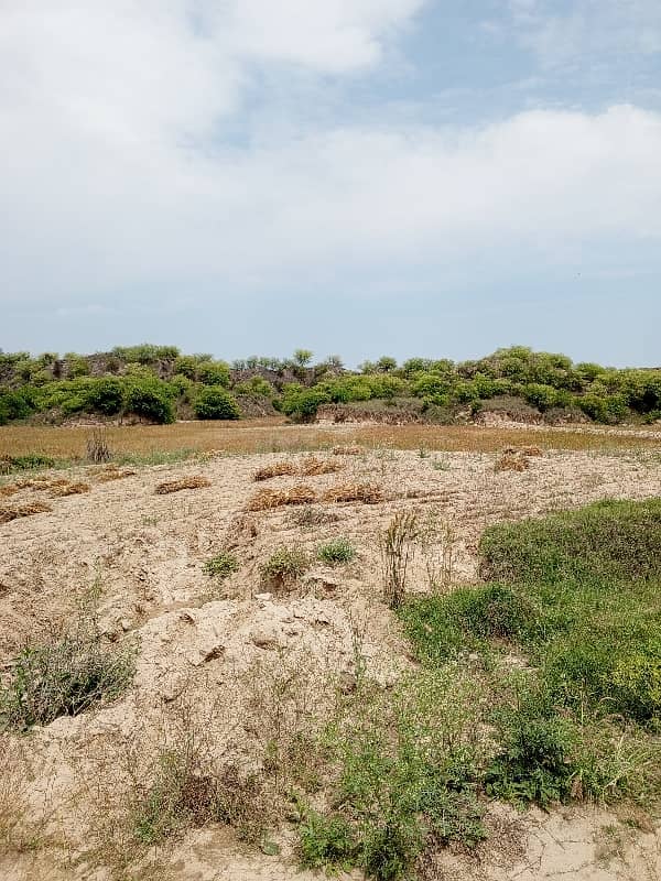 100 ksnal agriculture and farmhouse land for sale in balkasar chakwal 6