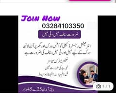job required for male female and students 0