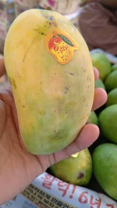 Multani Mango 0