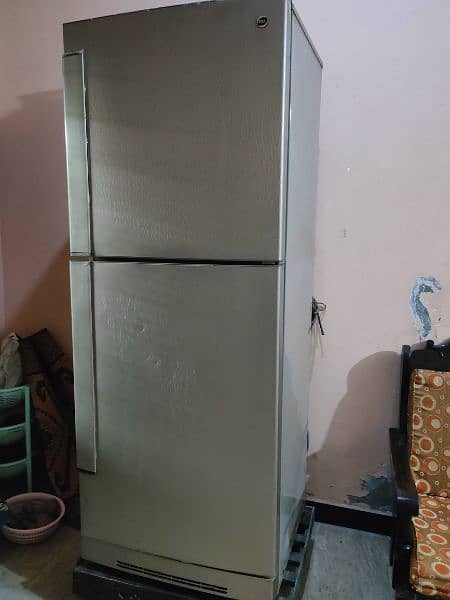 PEL Refrigerator double door full size 1