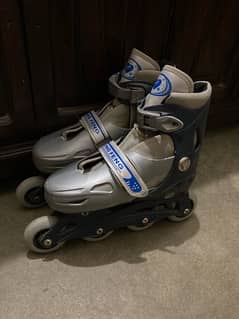 Skating shoes