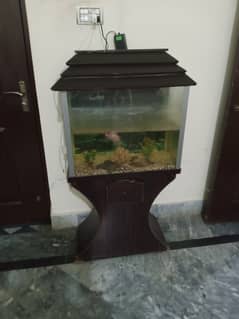 Fish Acvariuan for sale with air pump and one fish 0