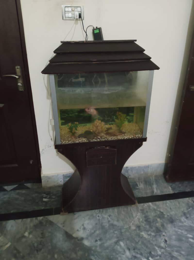 Fish Acvariuan for sale with air pump and one fish 0