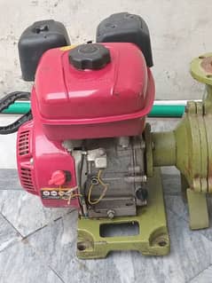 China piter pump