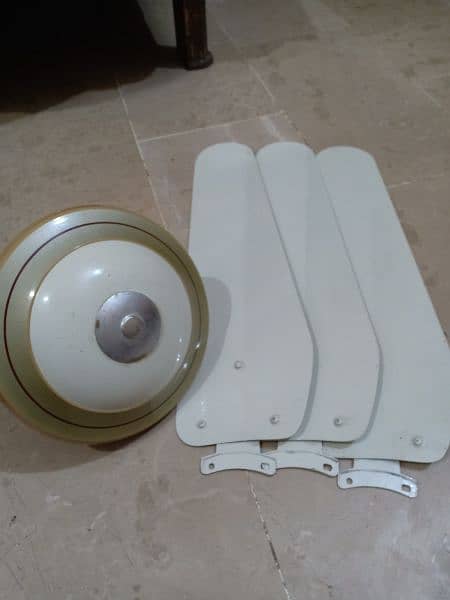 Ceeling Fan 3500 each 3