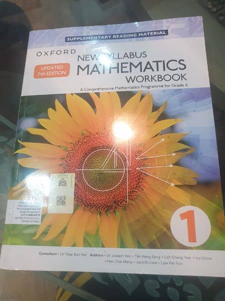 grade 6 maths D1 workbook 1