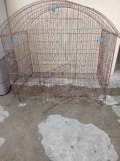Birds Cage 0