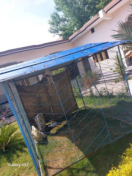 10x8 feet cage 0