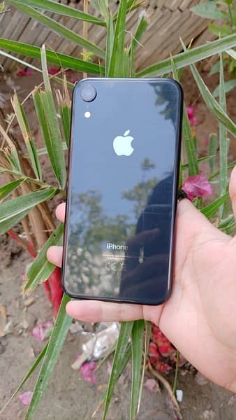 iphone Xr 7