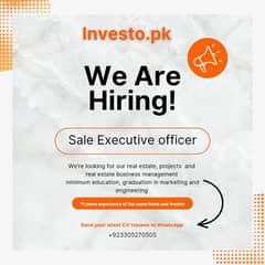 sale Executive 0