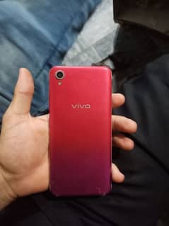 vivo