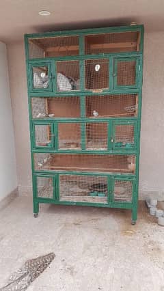 WOODEN CAGE AVAILABLE 0