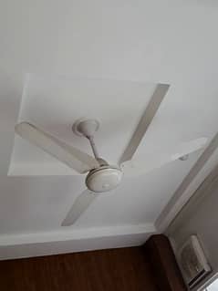 indus ceiling fan Pure white copper