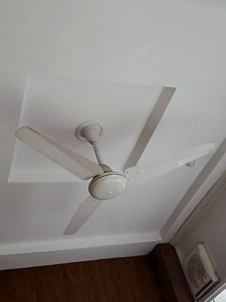 indus ceiling fan Pure white copper 0