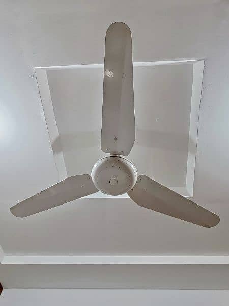 indus ceiling fan Pure white copper 1