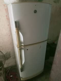 fridge medium size