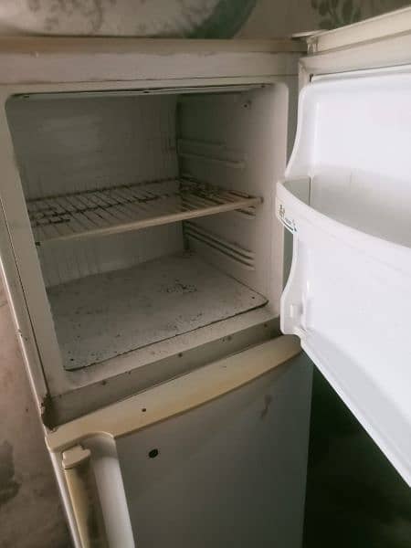 fridge medium size 3