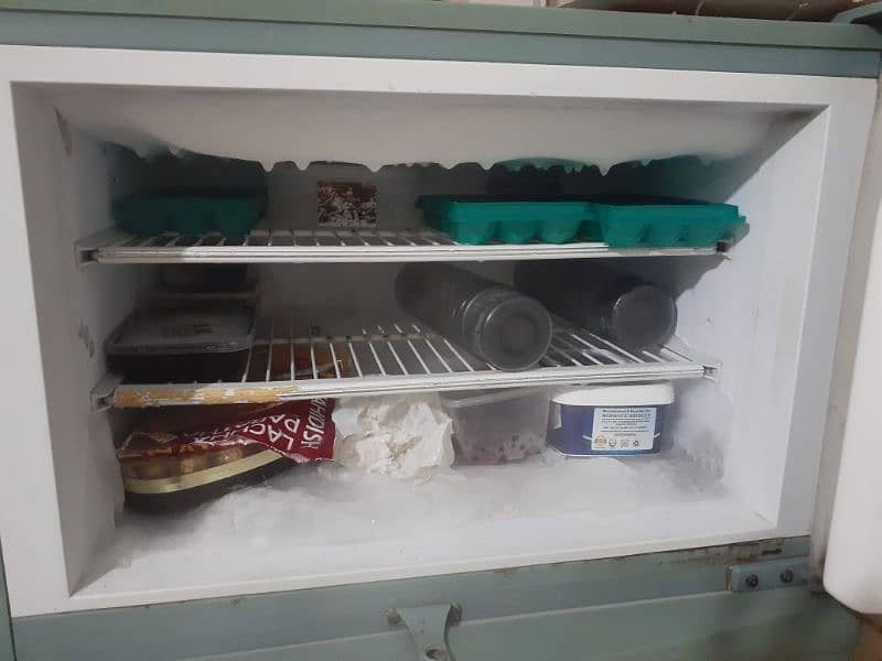 pel fridge for sale 2