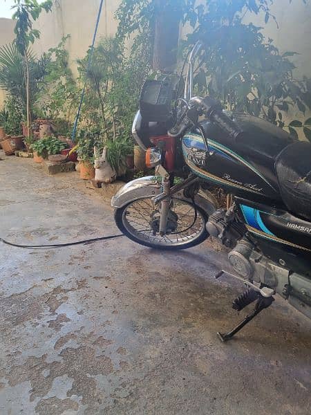 bike 70cc 0