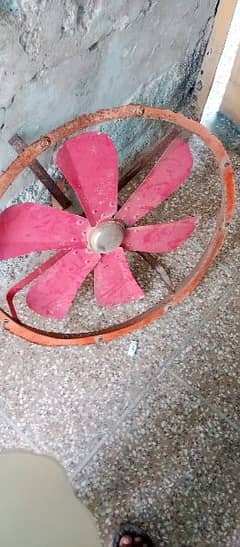 room collar fan