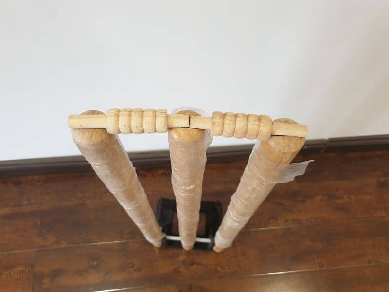 Wooden Wicket with springs (Cricket) 1