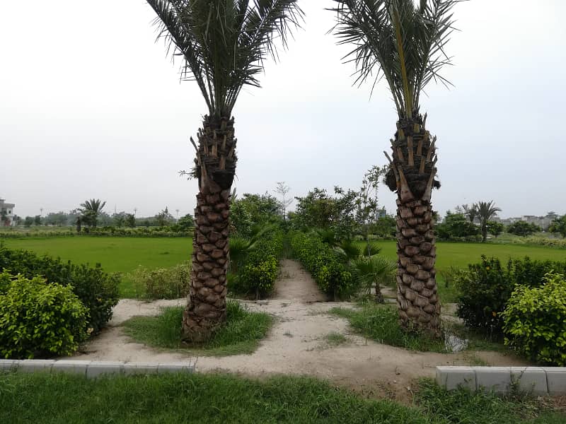 6 Marla Corner Plot For Sale In Sher Zaman Block, SA Gardens Phase 2 Lahore 26