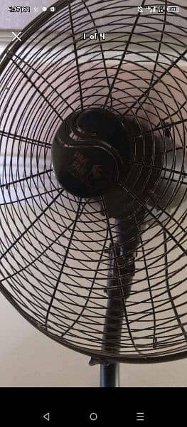 wall fan 1