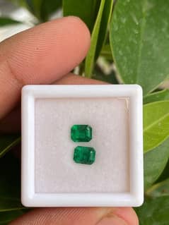 swat emerald natural