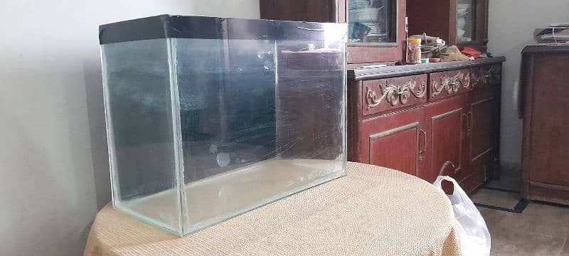 Aquarium medium size for sale 9