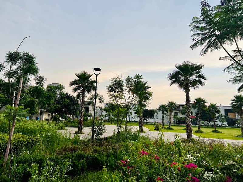 6 Marla Plot For Sale Facing Park In Phase 1 
Dream Gardens
 Lahore 11