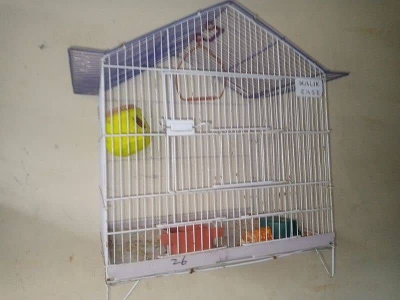 2 PARROT WITH CAGE 1